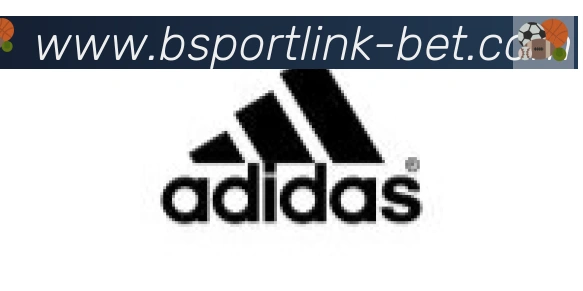 Bsports官网合作伙伴
